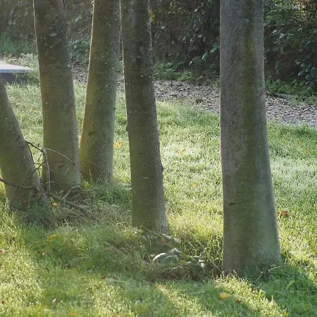 Boven In De Boerderij - Welkom Op 't Spoel