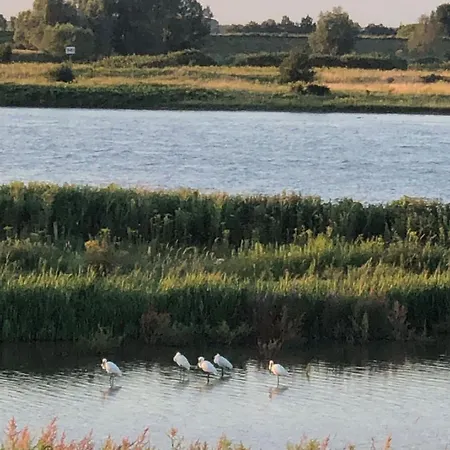 Boven In De Boerderij - Welkom Op 't Spoel Culemborg